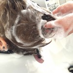 抜け毛チェック！原因と対策！